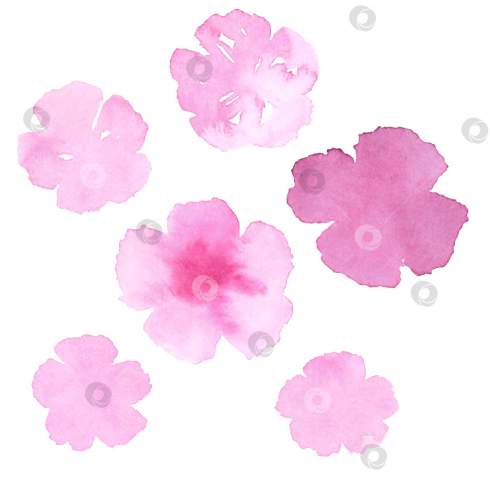 Скачать Абстрактные зеленые акварельные розовые цветы изолированы друг от друга. Акварельная текстура, нарисованная от руки, для фонов, открыток, баннеров и листовок фотосток Ozero