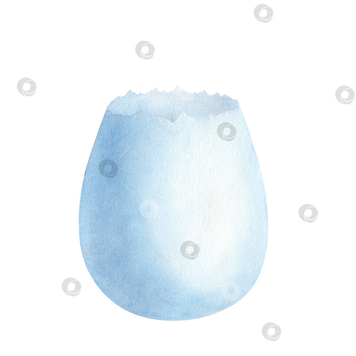 Скачать Акварельный горшок с пасхальными цветами. Керамический горшок в форме яйца синего цвета, выделенный на белом фоне. Иллюстрация к поздравительной открытке с цветами фотосток Ozero