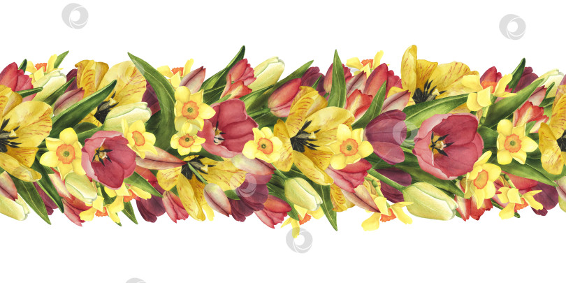Скачать Бесшовная кайма с желтыми, красными тюльпанами и нарциссами. Акварельная иллюстрация Пасхальный цветок для женского дня 8 марта фотосток Ozero