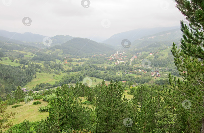 Скачать Туманная лощина между горами. Летнее утро. Пейзаж. фотосток Ozero