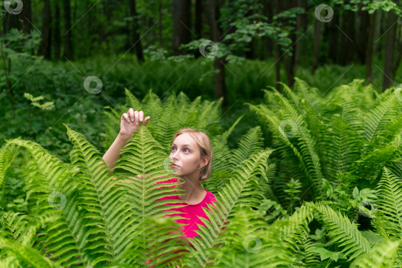 Скачать девочка-подросток в лесу среди папоротников фотосток Ozero