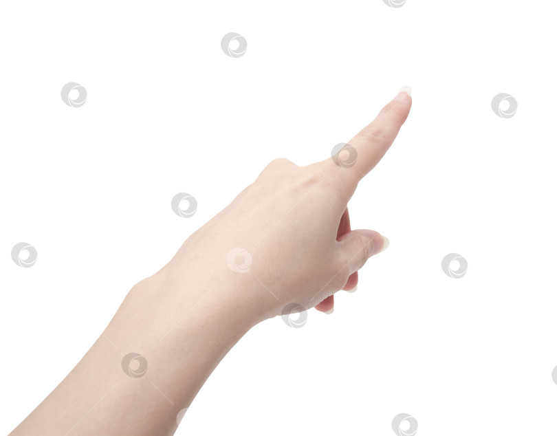 Скачать женская рука указывает вперед на белом изолированном фоне фотосток Ozero