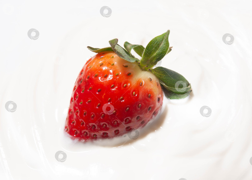 Скачать ягода клубника лежит на белом сметанном креме крупным планом фотосток Ozero