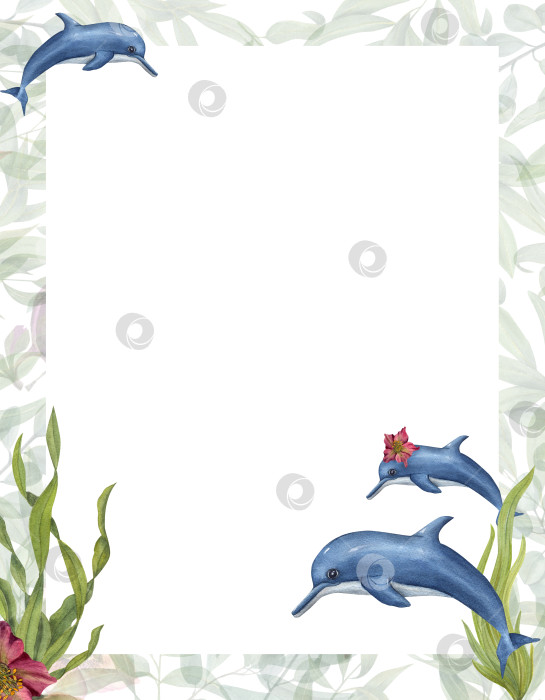 Скачать Акварельная открытка в мультяшном стиле с дельфинами и водорослями, выделенными на белом фоне. Ручная роспись иллюстрации для открытки, плаката для детской вечеринки, шаблона приглашения фотосток Ozero