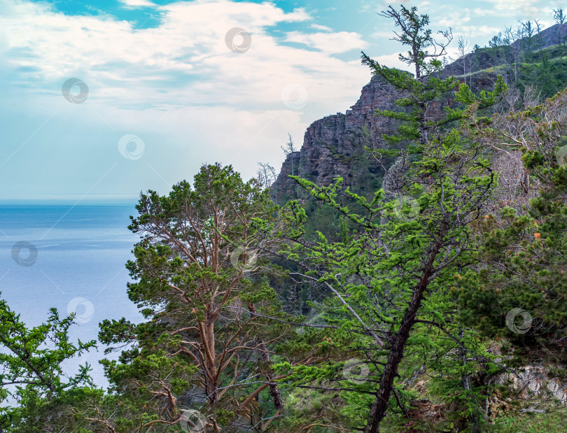 Скачать Скалистый обрывистый берег, поросший деревьями. Облака над водой. фотосток Ozero