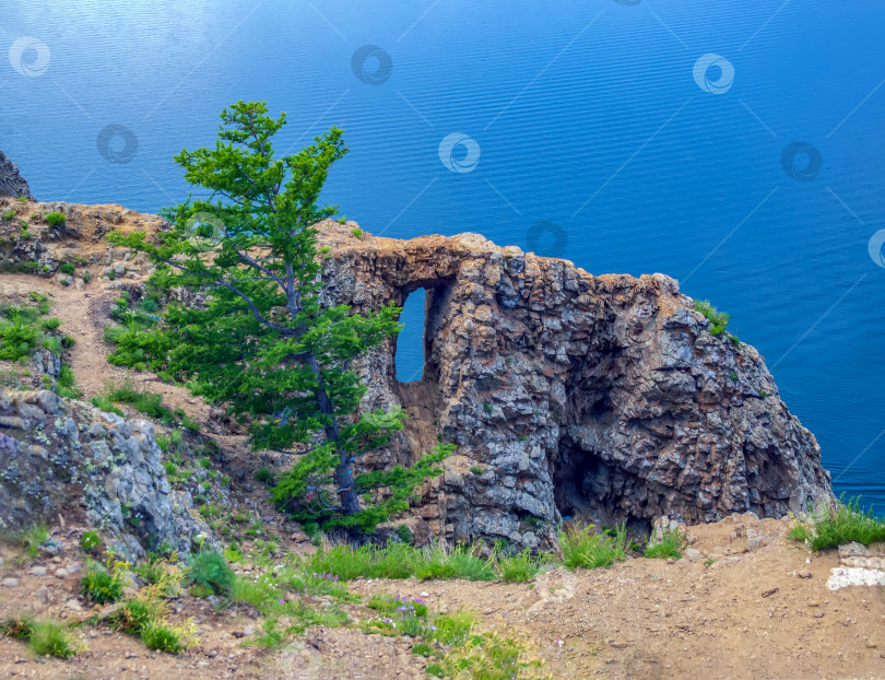 Скачать Вид на озеро Байкал ранним летним утром. фотосток Ozero