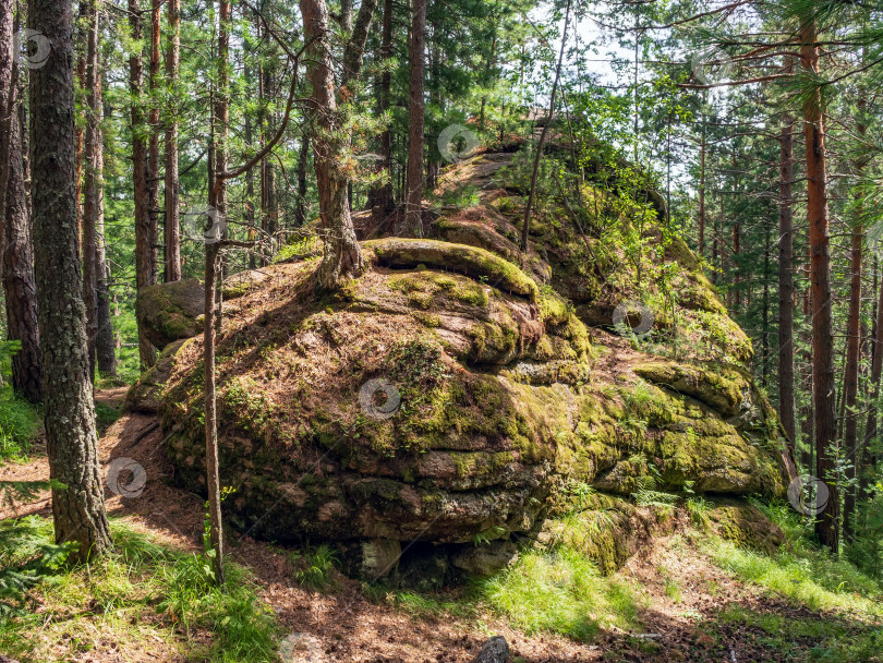 Скачать Огромный лесной камень, поросший деревьями, травой и мхом. фотосток Ozero