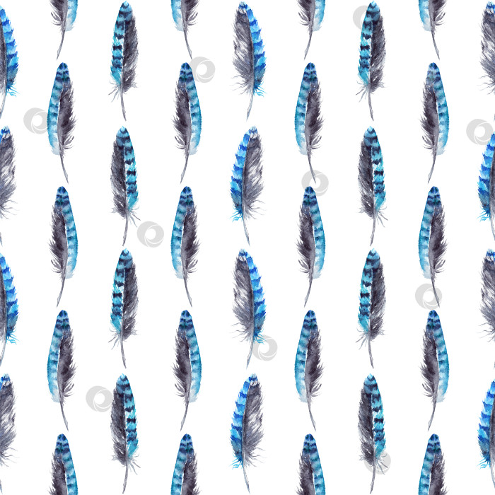 Скачать Акварельный фон с бесшовным рисунком из перьев голубой сойки фотосток Ozero
