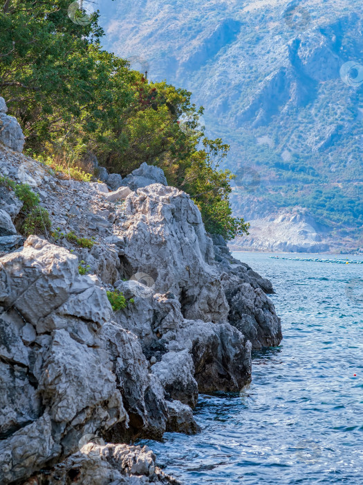 Скачать Скалистые берега Средиземного моря. Морской пейзаж. фотосток Ozero