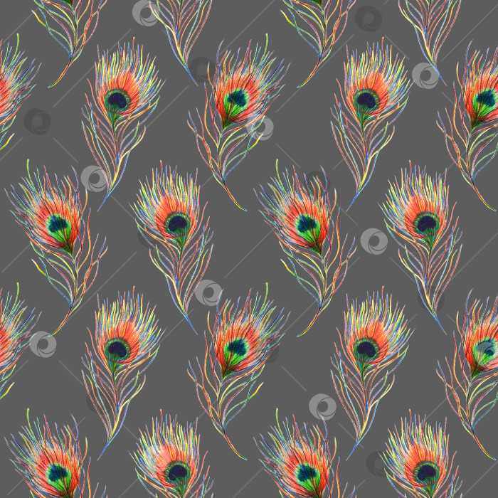 Скачать Радужный красочный павлин птичье перо бесшовный узор фоновая текстура фотосток Ozero