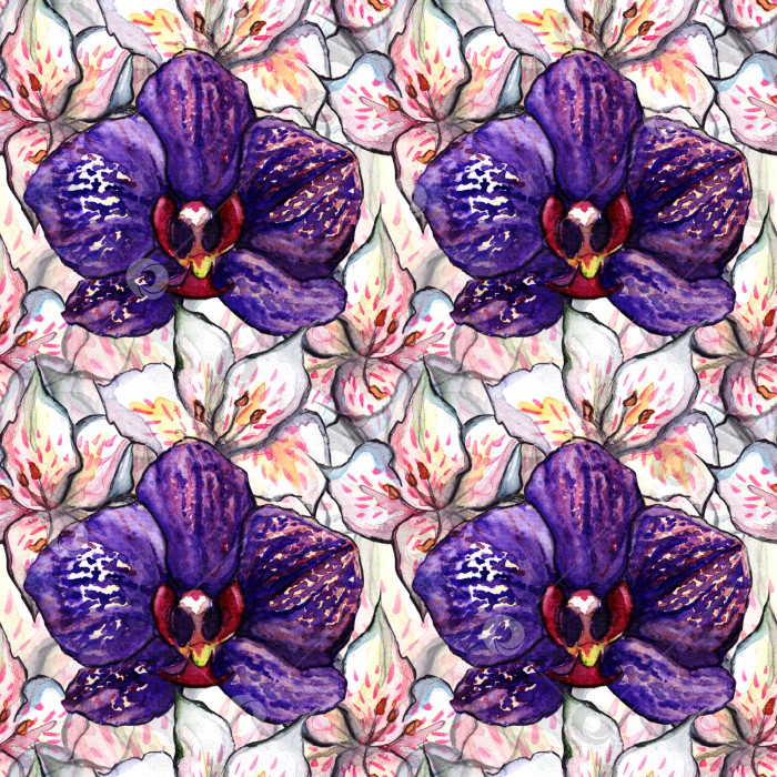 Скачать Акварельная цветочная орхидея альстромерия бесшовный узор текстурный фон фотосток Ozero