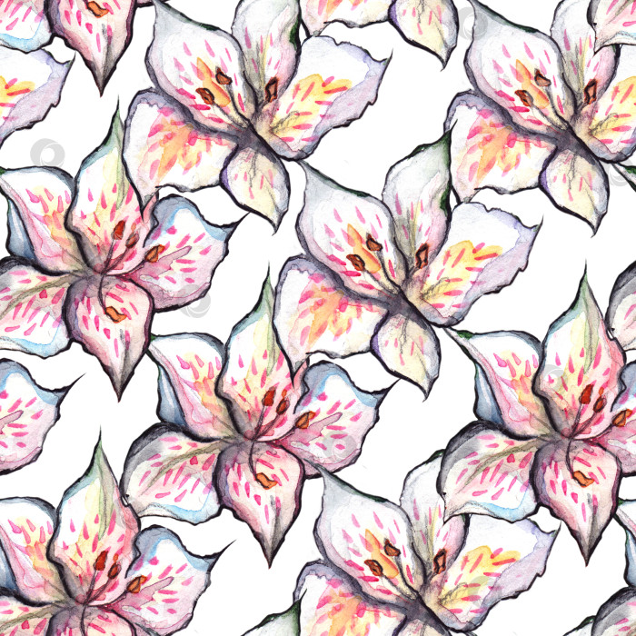 Скачать Акварельная альстромерия с цветочным бесшовным рисунком текстильный фон фотосток Ozero