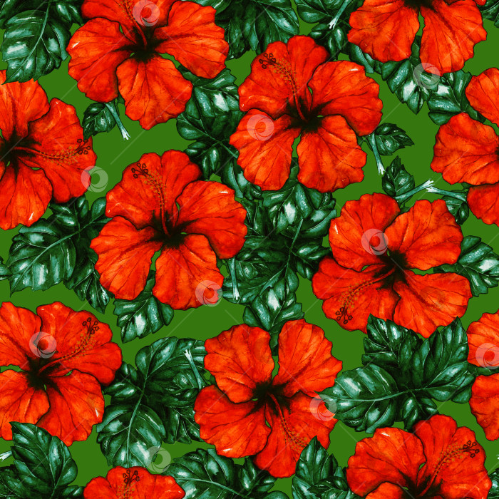 Скачать Акварельный красный гибискус каркаде тропическое экзотическое цветочное растение бесшовный узор фотосток Ozero