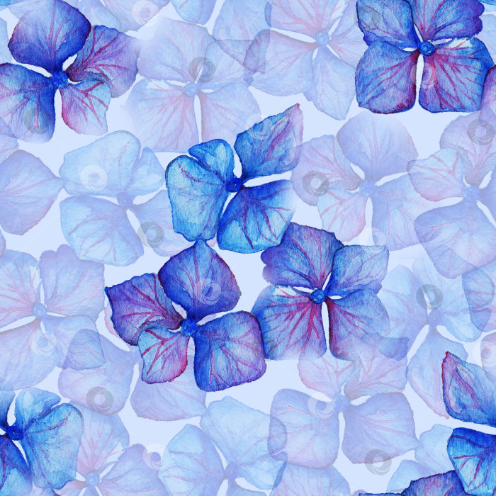 Скачать Композиция из цветов сине-фиолетовой гортензии бесшовный узор текстура фона фотосток Ozero