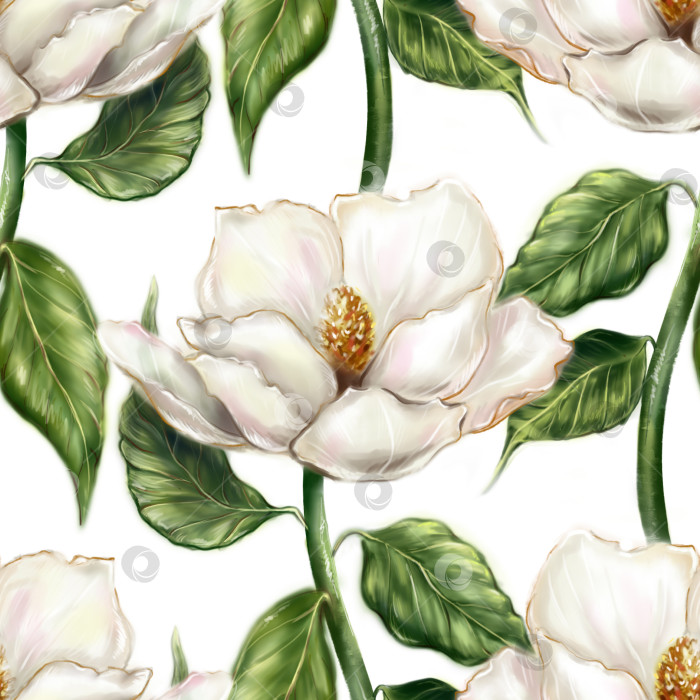 Скачать Красивый жемчужно-белый цветок магнолии цвета слоновой кости, лист, ветка растения, компьютерная графика, цифровая акварель, бесшовный фон с рисунком фотосток Ozero