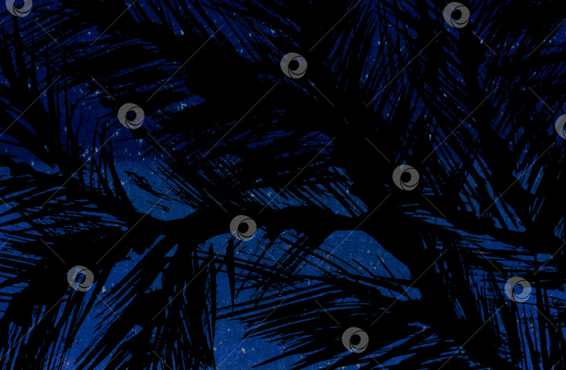 Скачать Листья тропической пальмы.Абстрактный ночной пляж фотосток Ozero