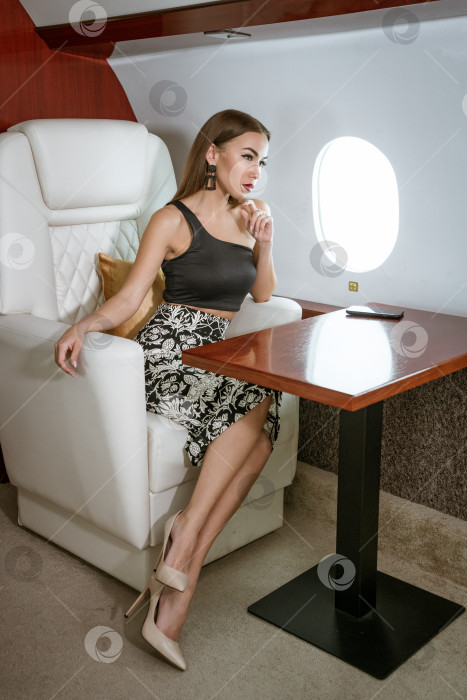 Скачать Красивая брюнетка сидит в кресле частного самолета фотосток Ozero