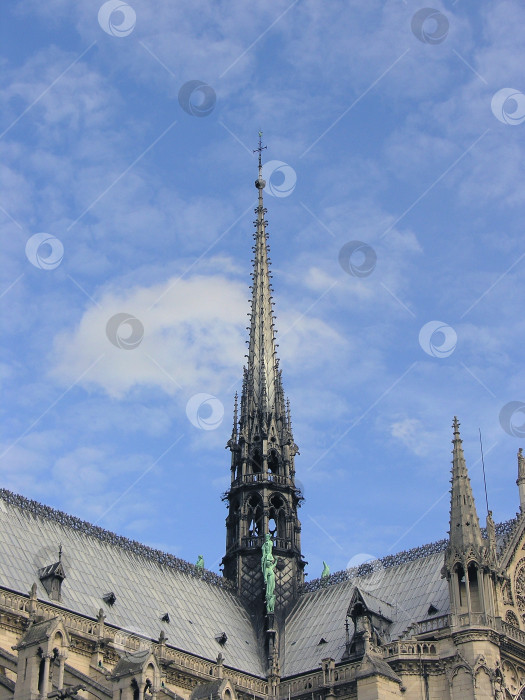 Скачать Шпиль собора Парижской Богоматери фотосток Ozero