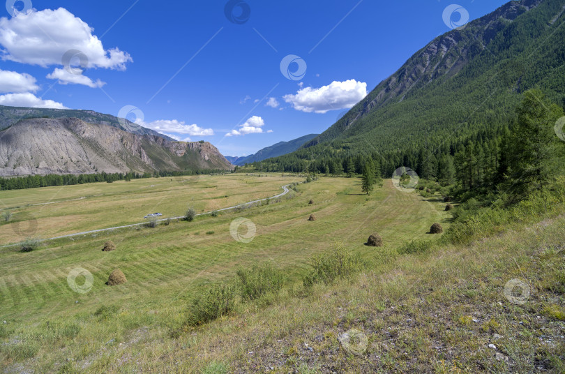 Скачать Луг со стогами сена в горах. Алтай, Россия. фотосток Ozero