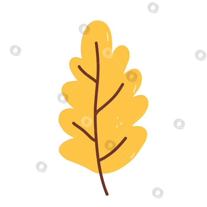 Скачать Осенний желтый лист, выделенный на белом фоне фотосток Ozero