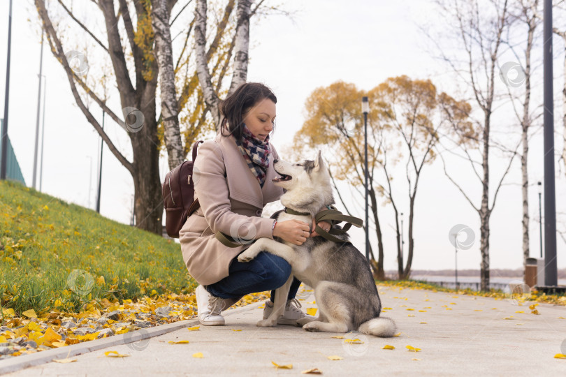 Скачать молодая женщина общается со своей собакой хаски в осеннем парке фотосток Ozero