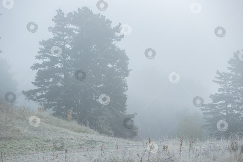 Скачать Туманный пейзаж фотосток Ozero