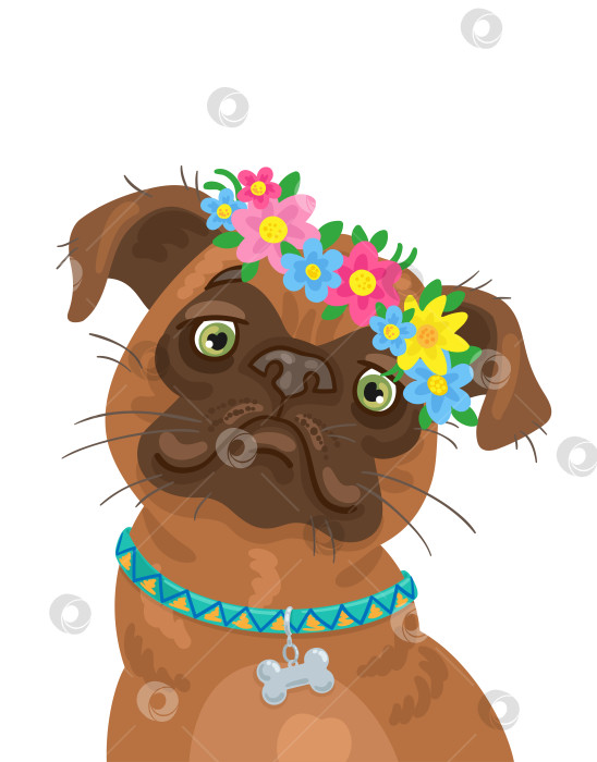 Скачать Маленький Брабансон. Портрет милой бельгийской собаки-грифона в цветочном венке. фотосток Ozero