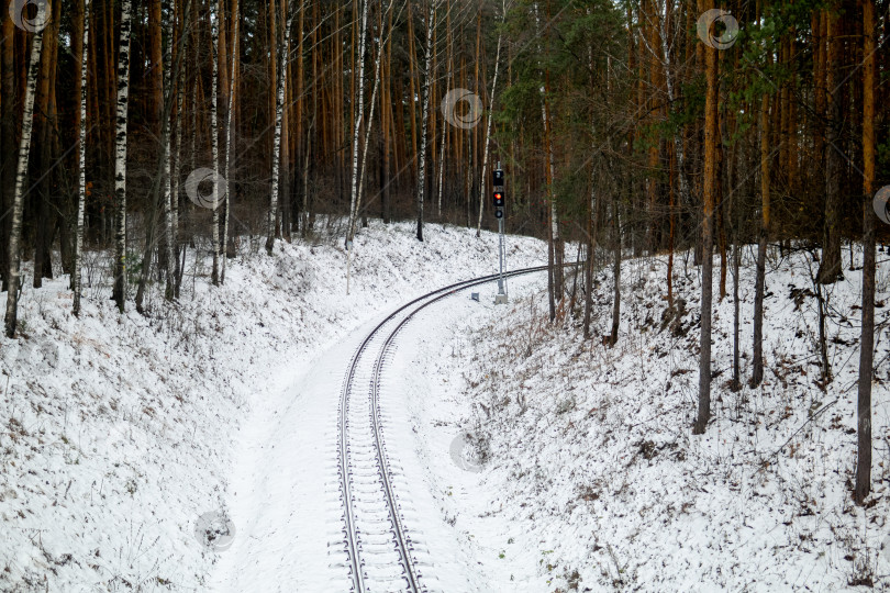 Скачать узкоколейная железная дорога в зимнем лесу фотосток Ozero