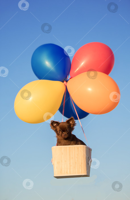 Скачать Полет на воздушных шариках фотосток Ozero