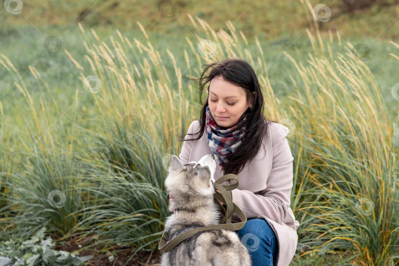Скачать молодая женщина со своей собакой на фоне осенней травы на холодном ветру фотосток Ozero
