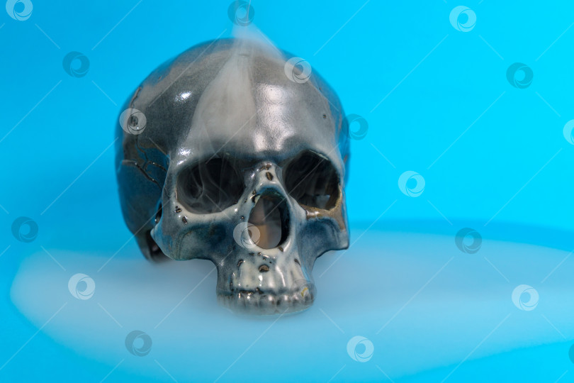 Скачать Человеческий череп, креативная композиция на синем фоне. Вдохновение на Хэллоуин. фотосток Ozero