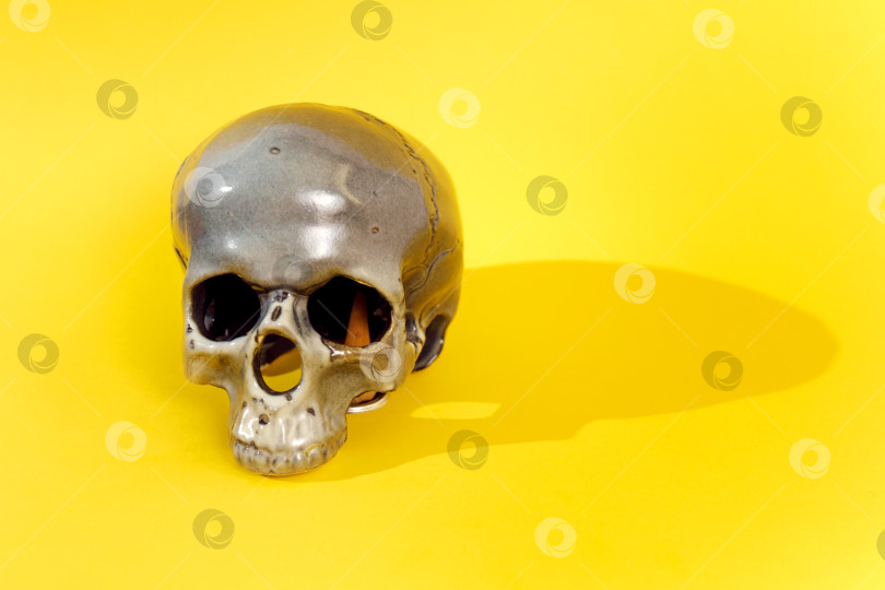 Скачать Концепция праздника Хэллоуин. Страшный череп на желтом фоне. Избирательный фокус. Пространство для копирования фотосток Ozero