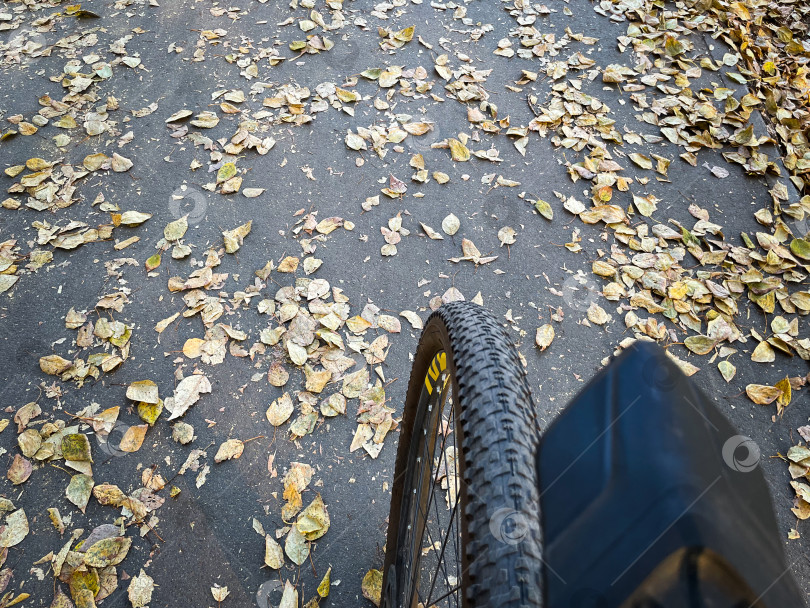 Скачать Велосипедное колесо едет по дороге, усыпанной опавшими осенними листьями. Избирательный фокус фотосток Ozero