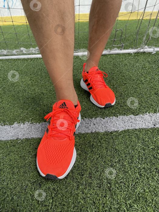 Скачать Тюмень, Россия - 13 августа 2022 года: Мужская обувь Adidas для бега. Эти кроссовки предназначены для спортивного образа жизни. Вертикальная фотография фотосток Ozero