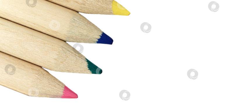 Скачать Цветные карандаши, выделенные на белом фоне. Крупный план, пространство для макрокопирования фотосток Ozero