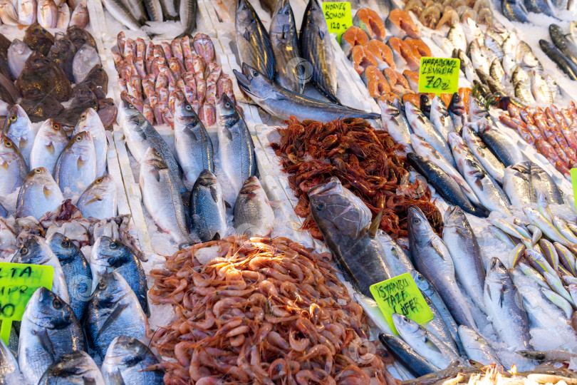 Скачать свежая рыба на прилавке рыбного рынка фотосток Ozero