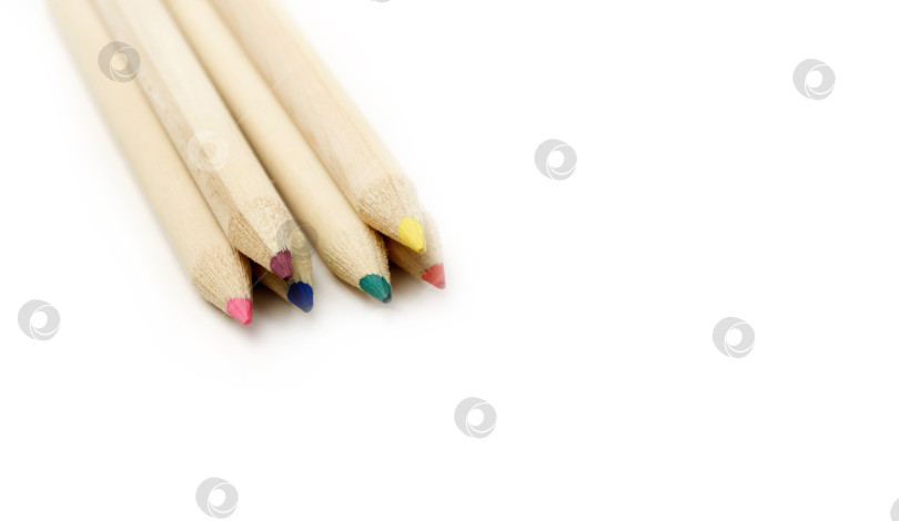 Скачать Разные разноцветные карандаши, выделенные на белом фоне. Пространство для копирования фотосток Ozero