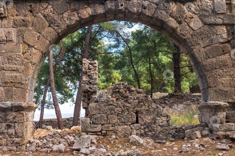 Скачать руины римского акведука и зданий среди леса в древнем городе Фазелис фотосток Ozero