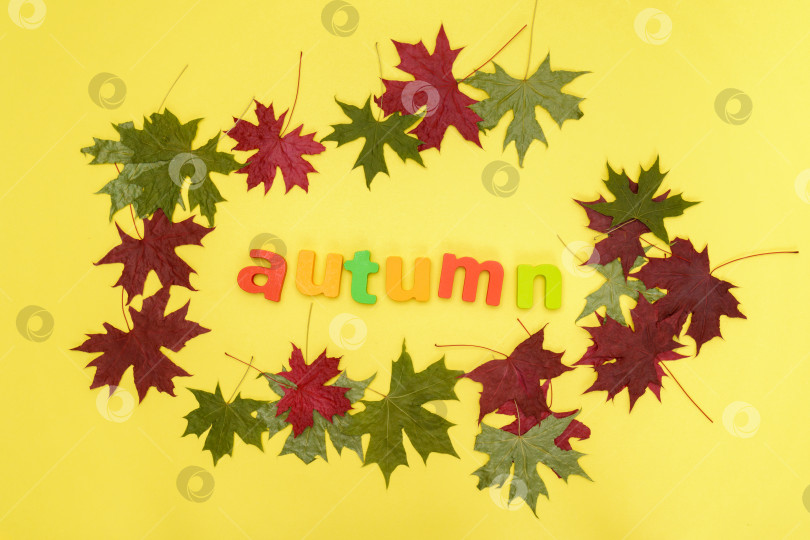 Скачать Осенняя композиция, осенние листья на желтом фоне. Концепция Welcome Autumn с видом сверху на плоскую поверхность. фотосток Ozero