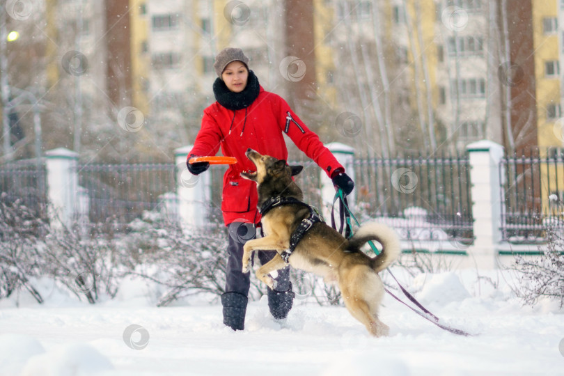Скачать Счастливая девушка на прогулке в зимнем парке играет с собакой. Активные игры на свежем воздухе. Избирательный фокус фотосток Ozero