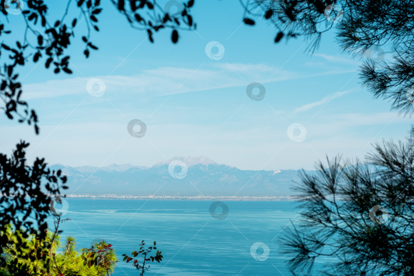 Скачать морская бухта с далеким горным побережьем, вид с горы сквозь ветви деревьев на побережье Анталии фотосток Ozero