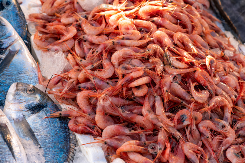 Скачать вареные креветки на прилавке рыбного рынка фотосток Ozero