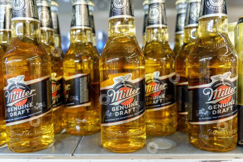 Скачать Тюмень, Россия - 08 мая 2022 года: алкогольное пиво Miller на полке в супермаркете. Избирательный фокус фотосток Ozero