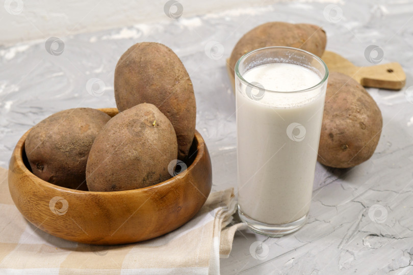Скачать Картофельное молоко веганское молоко в стакане с картофелем. Альтернативный молочный картофель - новый тренд. Избирательный фокус фотосток Ozero