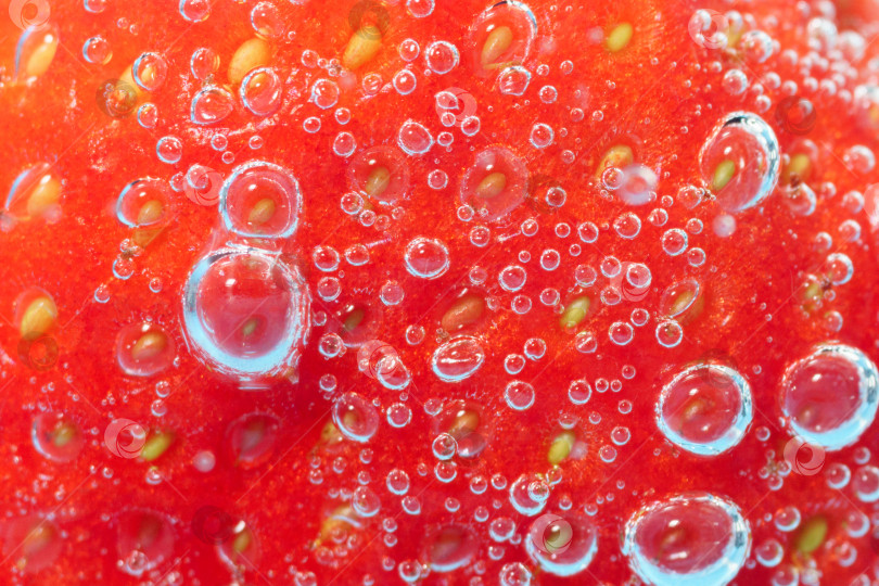 Скачать Макросъемка крупным планом красной клубники, текстура искрящихся пузырьков тониковой воды. Избирательный фокус фотосток Ozero