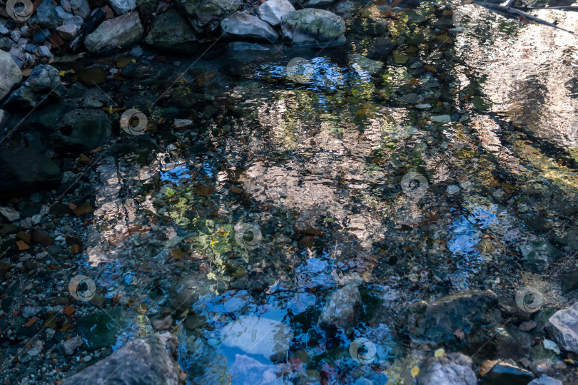 Скачать природный источник с чистой водой среди камней в лесу фотосток Ozero
