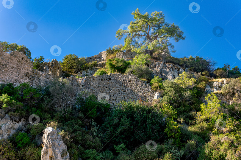 Скачать руины крепостных стен на скалистых горных склонах недалеко от древнего города Олимп, Турция фотосток Ozero