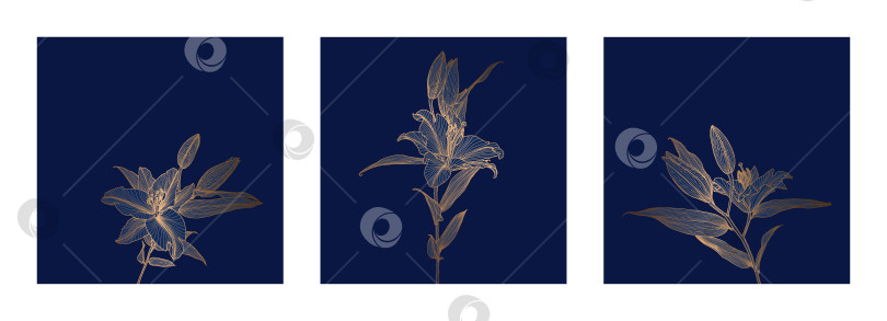Скачать Набор рамок с рисунками цветов лилии с бронзовым металлическим контуром на темно-синем фоне фотосток Ozero