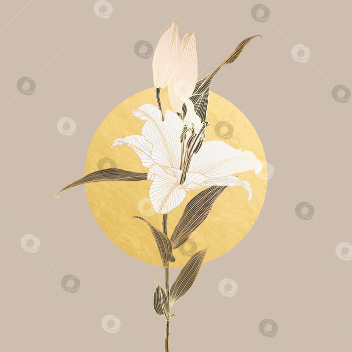 Скачать Линейный рисунок цветка лилии из нейтральной коричневой, белой, розовой и золотой фольги circle moon фотосток Ozero