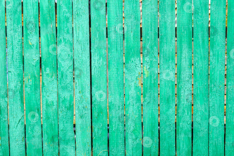 Скачать Старые деревянные изношенные доски забора с выветрившейся текстурой покрыты облупившейся зеленой краской. Место для надписей или предметов. фотосток Ozero